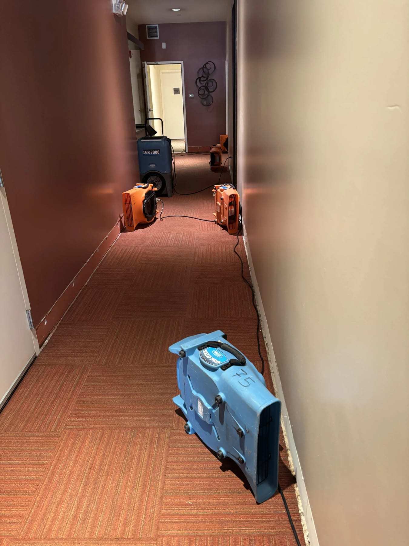 Long carpeted corridor with air movers and a dehumidifier along one wall